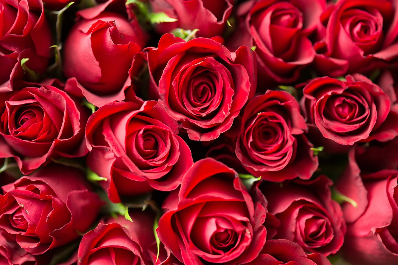 Delikatne i romantyczne kwiaty – jakie wybrać do bukietu?
